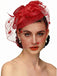 Vintage Netz Feder Bogen Haar Accessoires